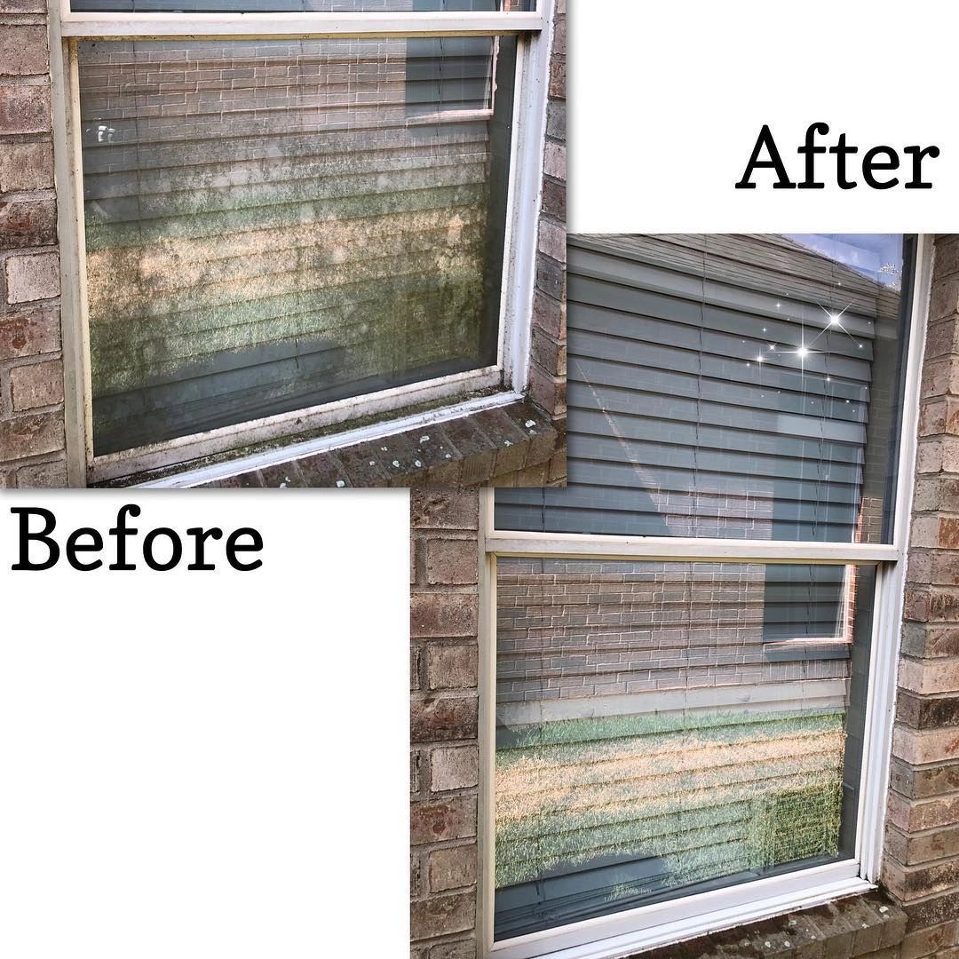 Professional Window Cleaning